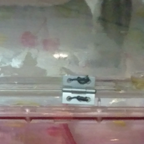 うんていの画像