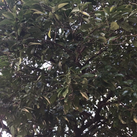 晴れたけど風が冷たいねの画像