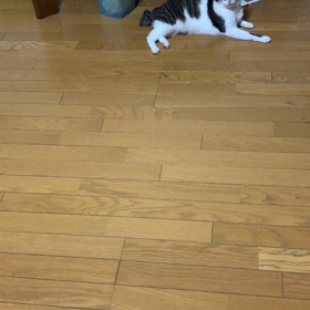 デールの叫び！今日のジム活…の画像