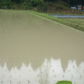 もののけ姫。の画像