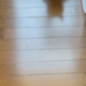 面白い子ノア君の画像