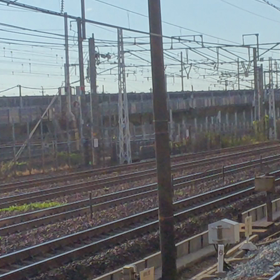 イエローミテイエニカエローの画像