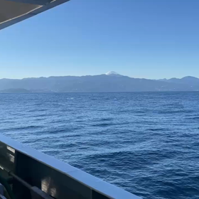 ギャンブル！キハダ‼️の画像