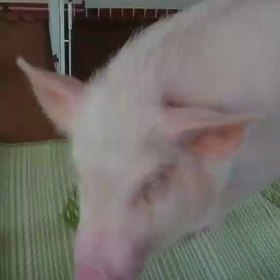 未知との遭遇の画像