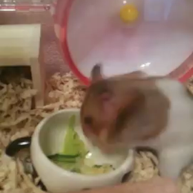 逃走∑(ﾟДﾟ)の画像