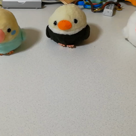 ピーコと私　ﾌﾟﾘﾌﾟﾘ275の画像