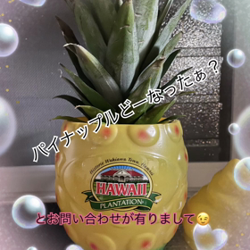 久しぶりの投稿の画像