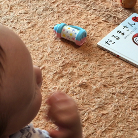 テレビをみて笑うポッちゃんの画像