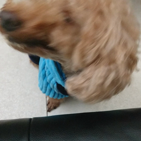 とある朝の出来事。。。の画像