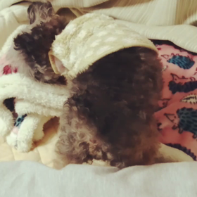 ベッドメイキングの画像