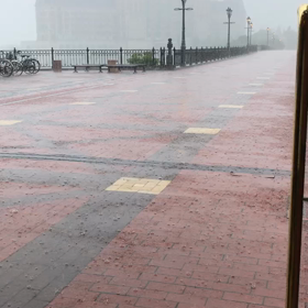 今日は曇り空のはずが…雨の朝です(ㆀ˘･з･˘)の画像