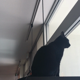 アクティブチェットの画像