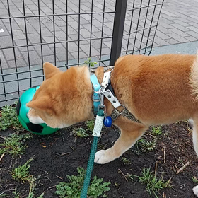 多分、大丈夫だと思うけどもしかしてを考えての画像