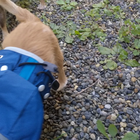 動いた日…。の画像