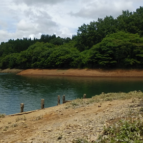 風景の画像