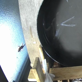 すぎぴたんの事件簿シーズン3　7話（今日も家を守るヤモリ）の画像