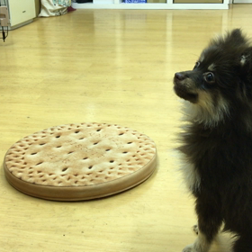 おうちでやってたらスマン。の画像