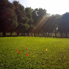 学年別インターバル(紺・黄緑・その他)⑦の画像