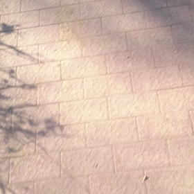 初めてのお泊まりはドキワク♪の画像