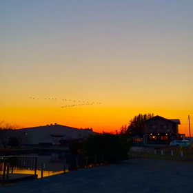 大掃除はお済み？の画像