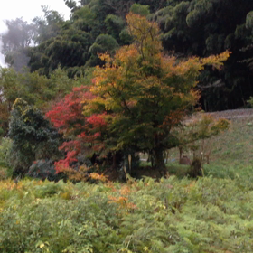 長門峡駅の画像