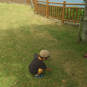 地元祭りが楽しみ！の画像