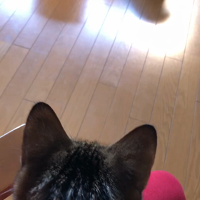 久しぶりに筋トレ！遊んでる…ママは嬉しいよ。の画像