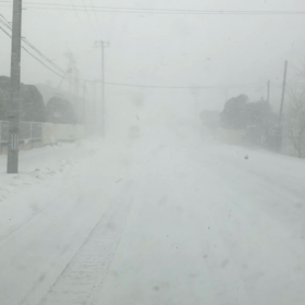 暴風雪 警報。。の画像