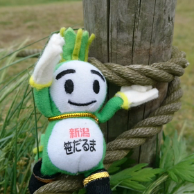 7/16の画像
