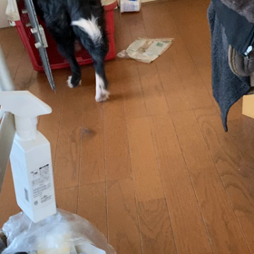 変なの！の画像