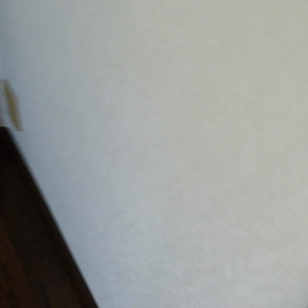 今朝のエリの画像