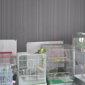 ケージあれこれ・その2の画像