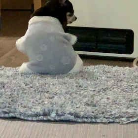 ストーブつけると思い出すなの画像