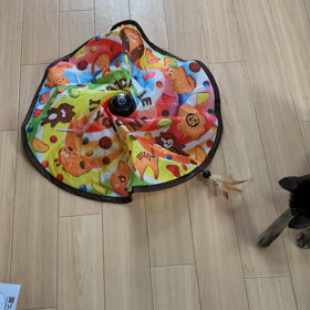 電動おもちゃ♡ Catch Me  ( ⸝⸝⸝¯ ¯⸝⸝⸝ )♡の画像