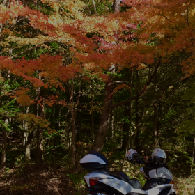 紅葉狩りとダム湖と秋晴れツーリングの画像