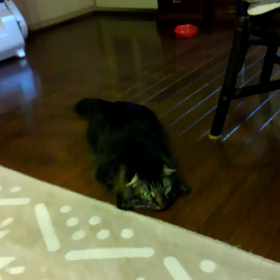 シルバーウィーク、夫がクルージングへの画像