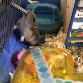 水、うまうま〜の画像