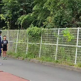 チャレンジカップリレー選考会（スタート地点）①の画像