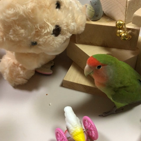 ぴーちゃん大騒ぎ！の画像