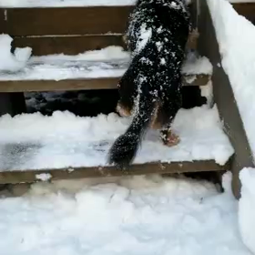 階段踏み外す！の画像