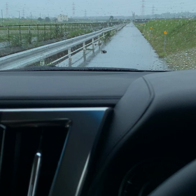 トラウマの画像