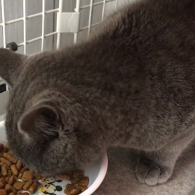 朝からガッツリ！の画像