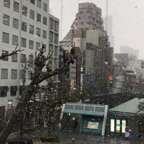 雪ゆき雪♡の画像