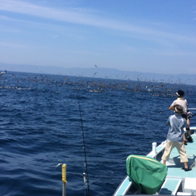 キャスティングルアー船の画像