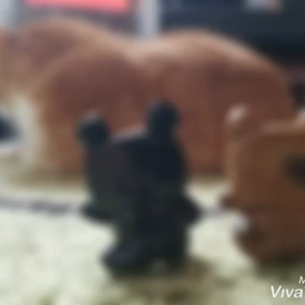 kattyan工房　動画発表！！の画像