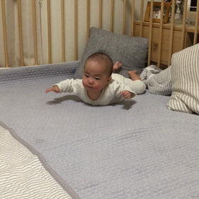 ＊ ハイハイらしき動画 ＊の画像