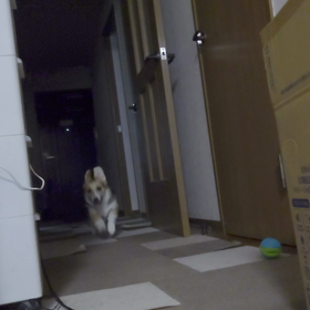 ばびゅーーん！！の画像