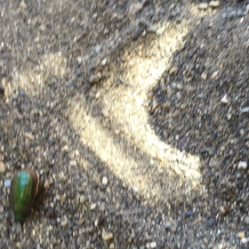 親子会話ビデオ付き「親子の夏休み英語」の画像