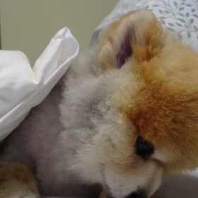 MHLの説明の画像