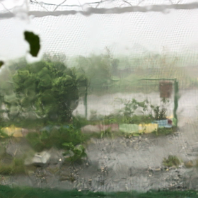 はげしい。の画像